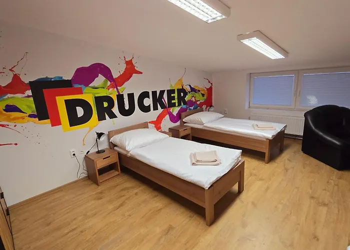 Drucker 招待所 3*